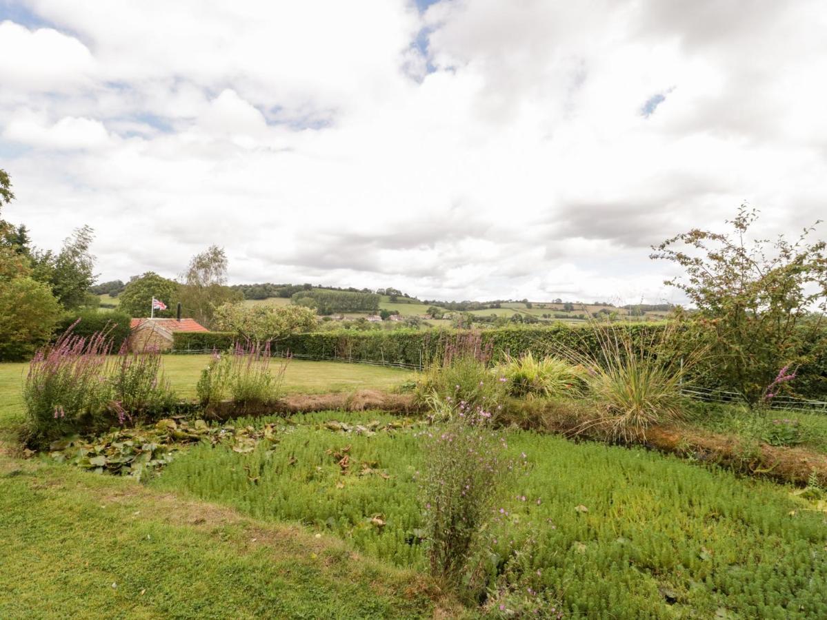 Yeoman Cottage Crewkerne Extérieur photo